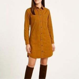 EVERLANE The Modern Utility Shirtdress